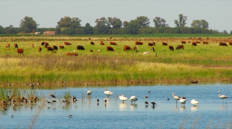 Vista de La Pampa, Argentina